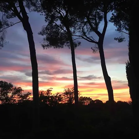 Maison Des Roses Tatil Evi Imola