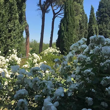 Maison Des Roses Tatil Evi Imola