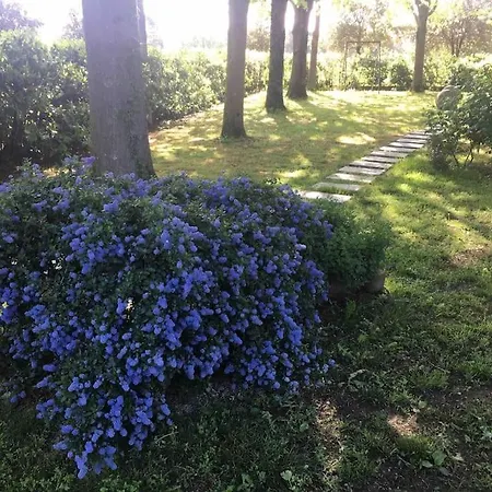 Maison Des Roses Дом отдыха